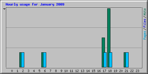 Hourly usage for January 2009
